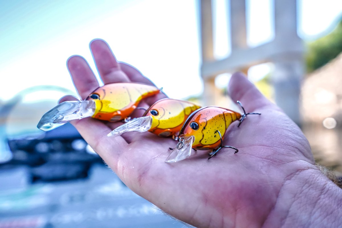 BerkleyFishing's tweet photo. One of those baits you gotta have in your tackle box at all times, the Berkley Frittside mimics a variety of species and is perfect for just about any fishing situation you'll find yourself in🔥
#BerkleyFishing #CatchMoreFish #FishThroughIt https://t.co/YnroCfXAUm