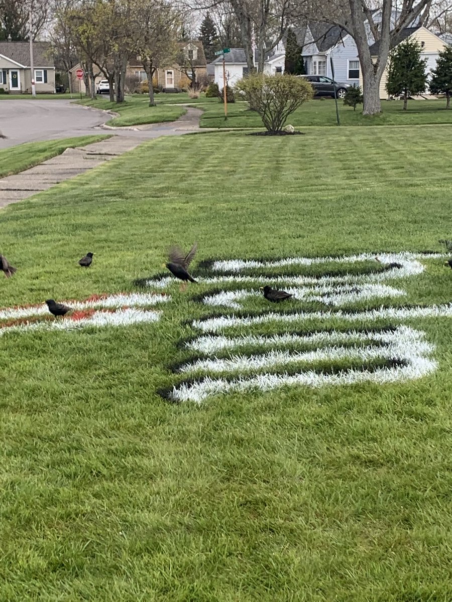 Just when you thought ⁦<a href="/BrianKoperski/">Bricks</a>⁩ had mad skills, who would have thought his paint was this addictive? #whatsinthepaint