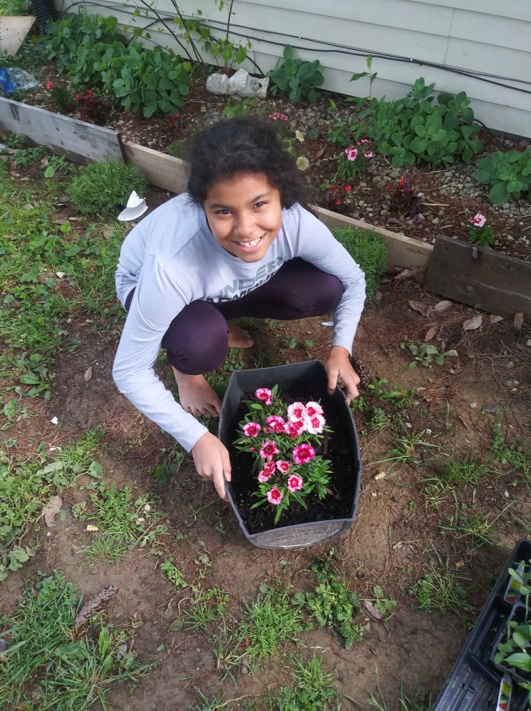 CartmellElemen1's tweet photo. Neveah's flowers have bloomed! Check out those beautiful plants, too! https://t.co/0lCNslWIxX