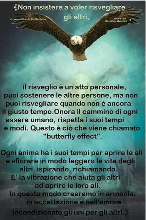 Laura  Verdú (@lau_verd) on Twitter photo 