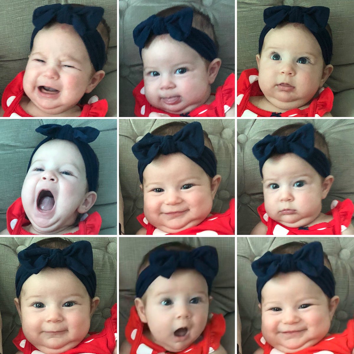 BethanyITC's tweet photo. Faces of Piper at 12 weeks=3 months
#facesfordays #polkadotsandhairbows
#12weeksofquarantine #dressedbyAuntMel @CheathamMelodie https://t.co/1hTOv6PRf9