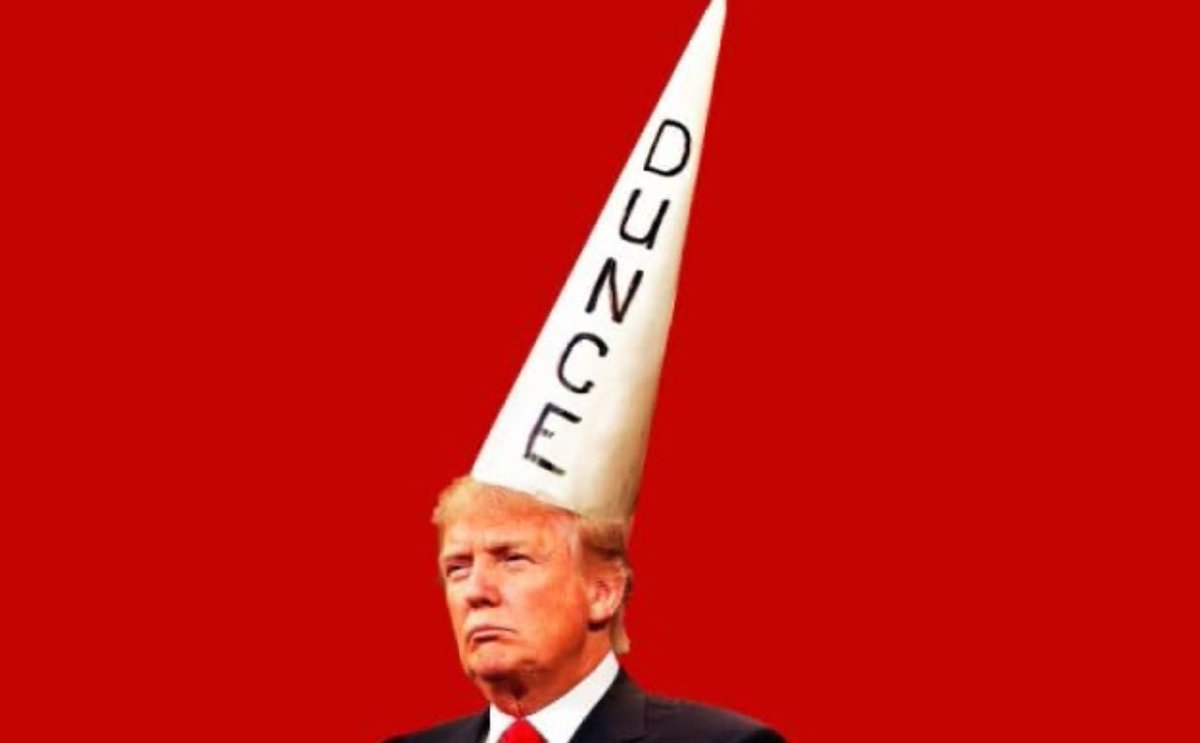 Quahaug's tweet photo. @realDonaldTrump @MikeGarcia2020 @ChristyforCA25 Trump the Dunce https://t.co/Dv6LqP8pOf