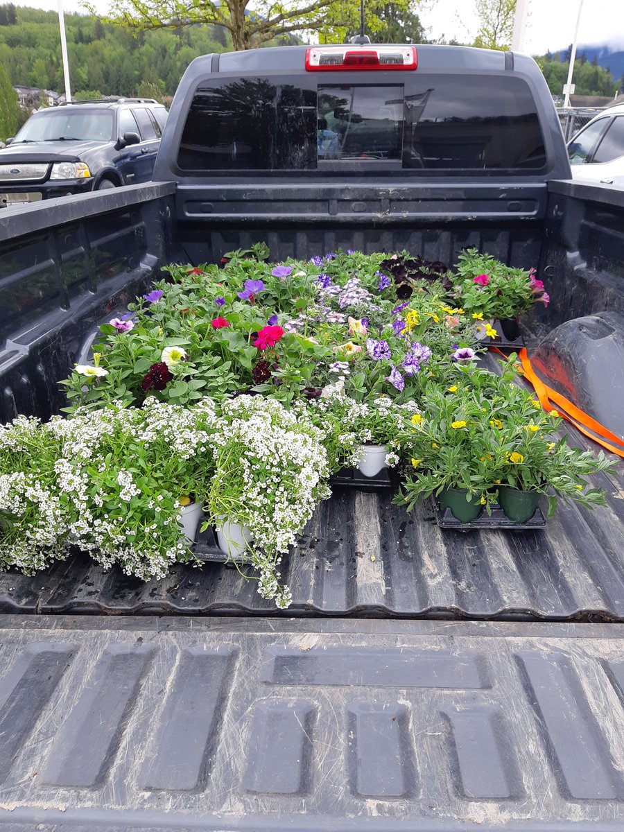 We may not be able to gather and show our gratitude in person, but we 💜 our volunteers here at Promontory! Thank you SSS Farm for these lovely plants! #sd33learns #promontory #volunteerappreciation