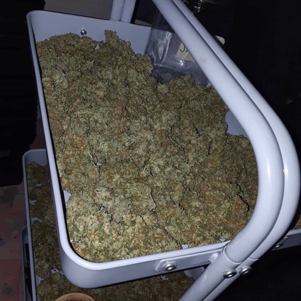 weedstore1011's tweet photo. De la bonne weed livraison discrète Snapchat// Plugstore01 #CoronavirusFrance 
#lausanne #giletsjaunes #notredame #cannabis #VivreEnsemble #Bordeaux #FiersDeLaGrève #FiersdetreBleus #hautsdefrance #Plaisir #VivreEnsemble #ViolencesPolicieresA https://t.co/X0mahcMFKK