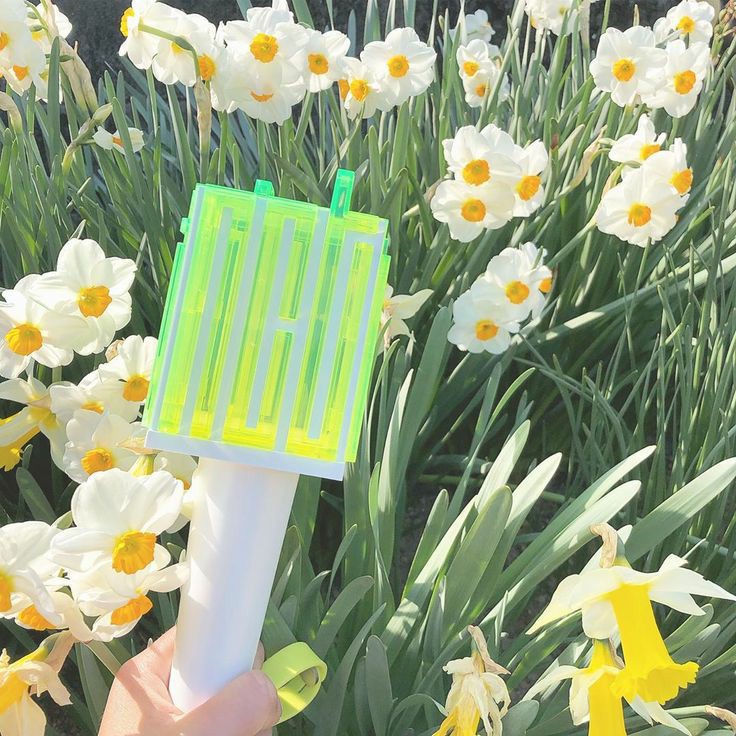 celine ⟡ tweet media