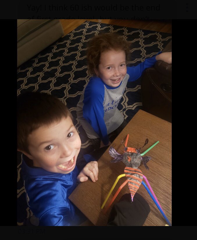 BobbiejoVice's tweet photo. More boat and insect projects!
#FCSNTI https://t.co/Jx9VzqUhl7