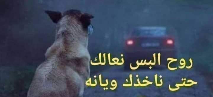 hamzakadh's tweet photo. #راجع_اخذ_حق_الشهداء
حال المغرر بيهم من الثوار بعد تشكيل الحكومه https://t.co/W17WMQaPdL