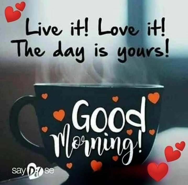 KingDaisy10's tweet photo. @THE_TNT_TEAM https://t.co/fzsrEdrj5f