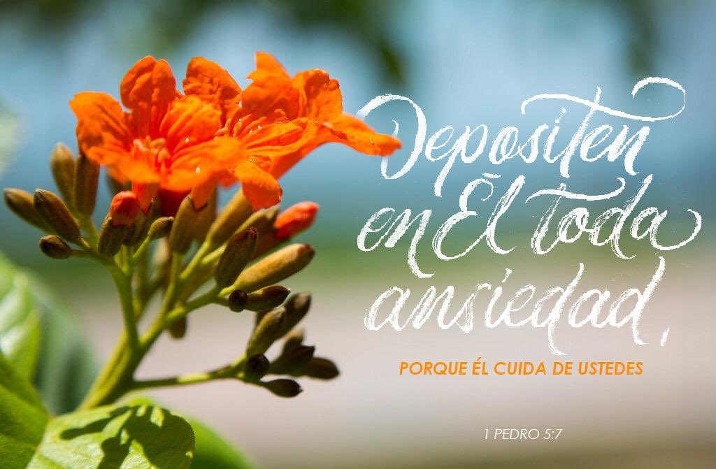 pastorjoel75's tweet photo. #ComparteEsperanza https://t.co/6LjthkhBGC