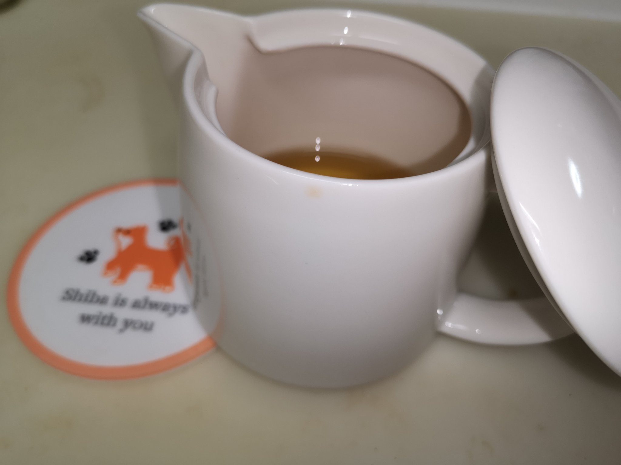 七海 一人暮らしで量使わないのに でかいオイルポット しか売ってなくていつも使用後そのまま放置 ダメにしてけど ネットで 急須とかで代用できるよ ってのを見かけて 早速買ってみた 最高すぎて揚げ物が滾る 揚げ物以外でもちょい使いしやすい