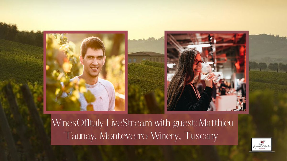 WinesOfItalyLive tweet media