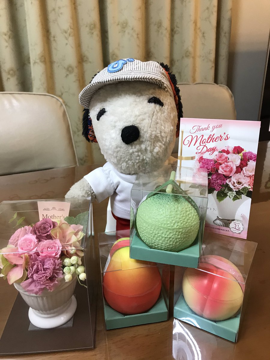 ぴくん ママはお兄ちゃんとお嫁ちゃんから素敵なプレゼント をもらったぞ ママはとっても喜んでるぞ 俺にもお菓子くれるかなぁ ぬいぐるみ ぬいどり 母の日 カーネーション