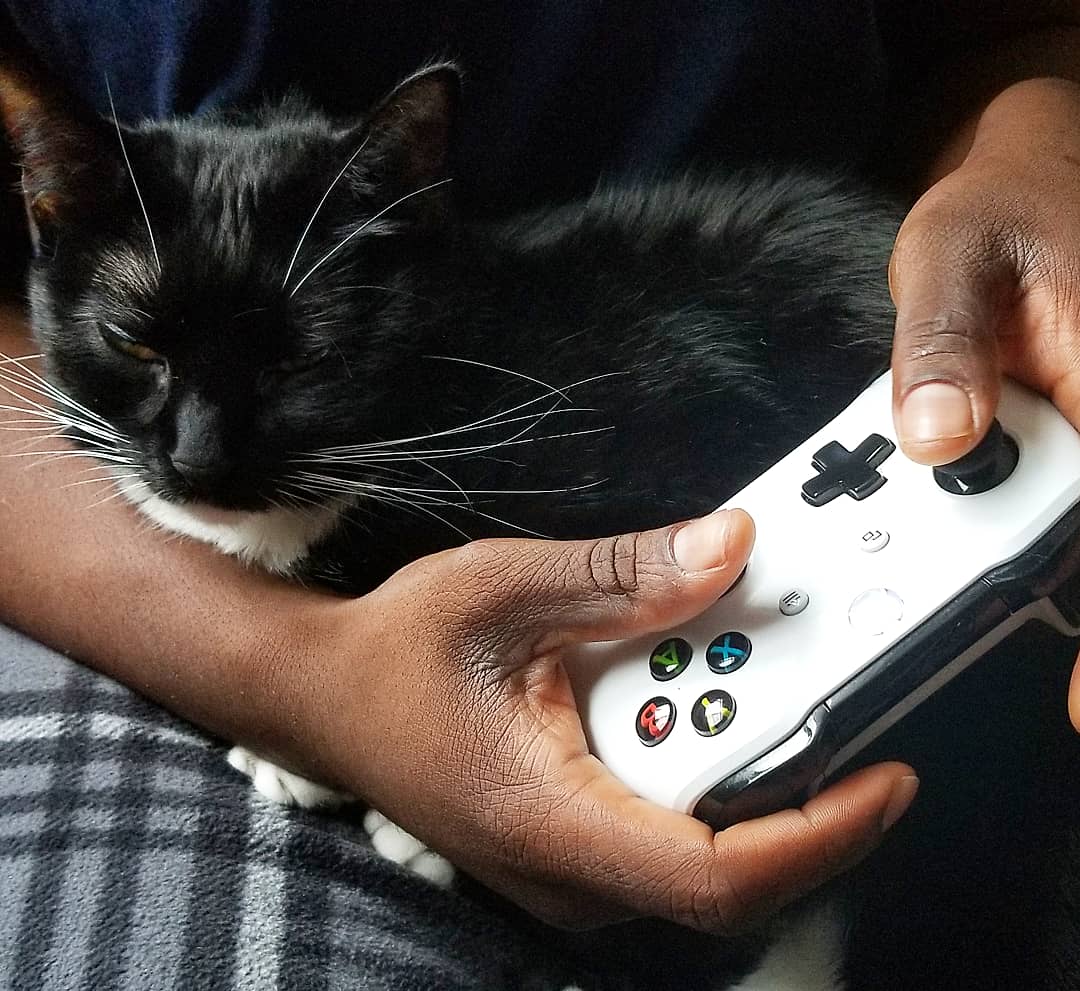 KittylaKitty2's tweet photo. 💙Satsuki's thoughts: Friday is video game day. Warm laps and random body shakes. Fun times with daddycat. #CatsOfTwitter #tuxedocat #xbox #XboxOne #FridayVibes #Covid_19 #catsofinstagram #catquarantine #FridayThoughts #Witcher #bioshock #MortalKombat #Sims4 https://t.co/tgsvG8nY6d