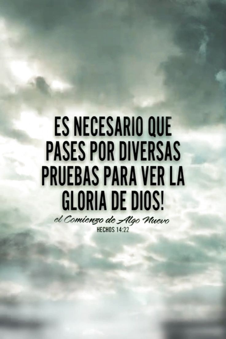 Castulo_2020's tweet image. 