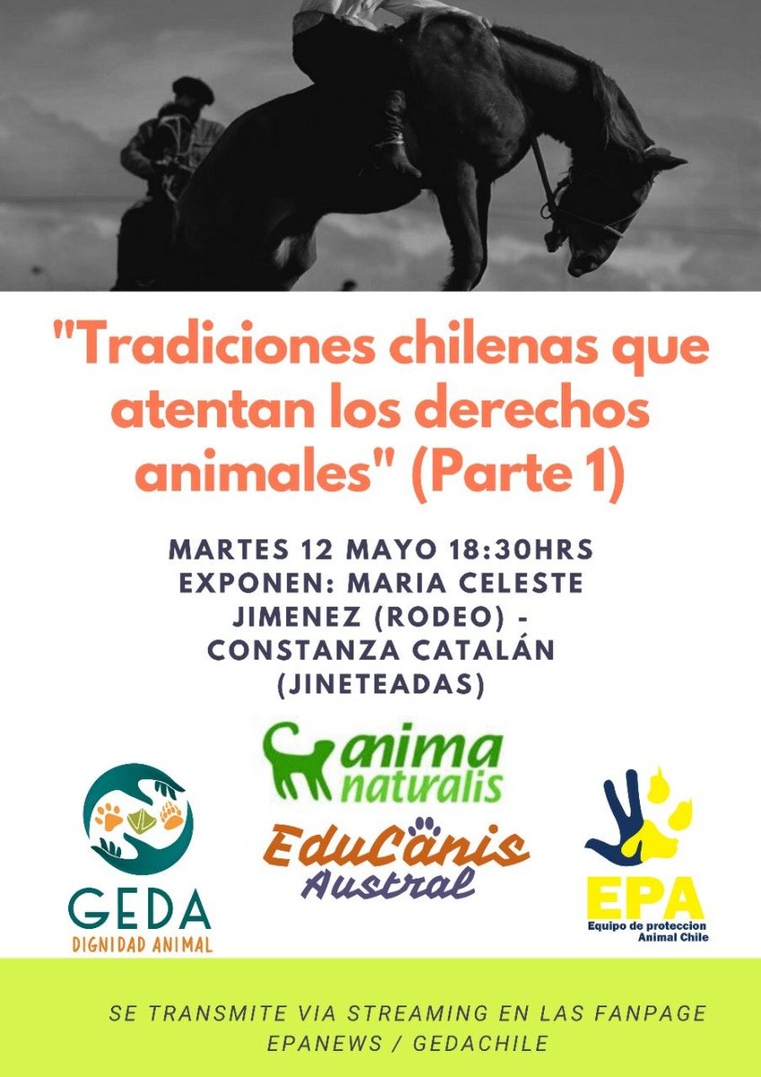 GedaFundacion's tweet photo. El próximo martes 12 no se pierdan la tercera charla del ciclo organizado por GEDA y @EPA_Chile conversaremos del rodeo y la aplicación penal y sobre las jineteadas en la región de Magallanes. Transmisión en directo por fanpage de Epanews y repetición en fanpage GEDA. https://t.co/kBDKuXVnx1
