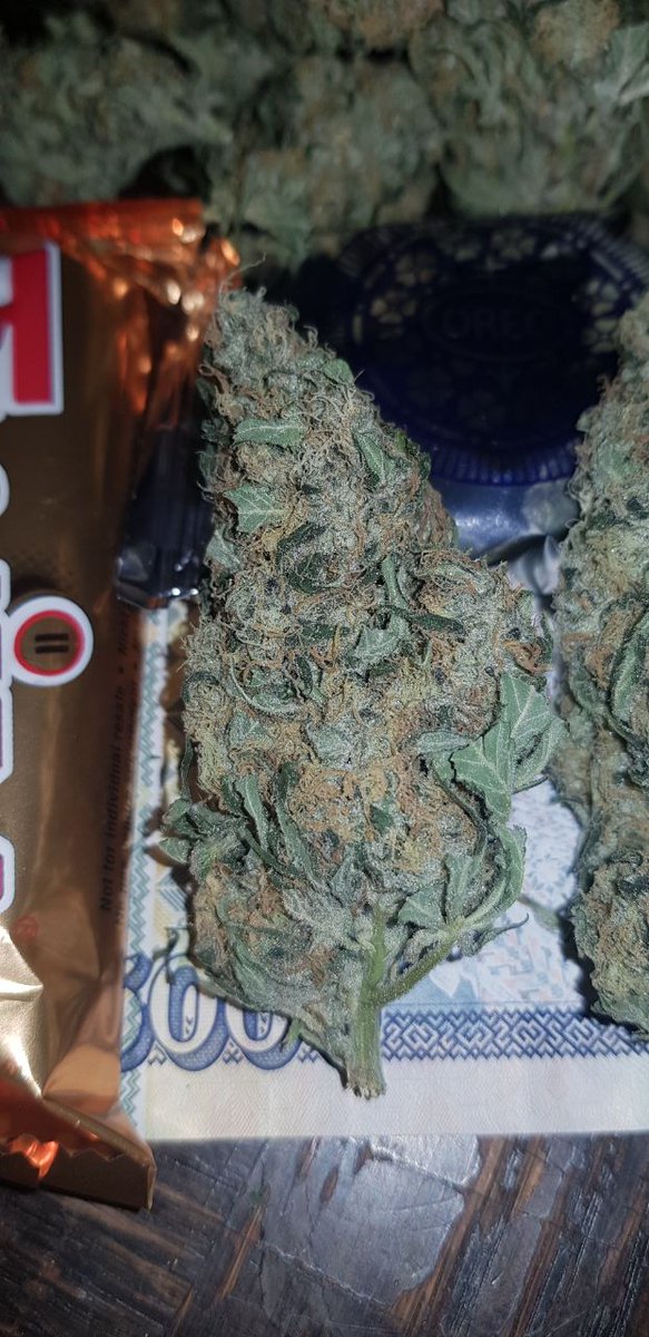 AlsonJones's tweet photo. #weedmaps #theweedtube #gasways #dcweedevents #pillsbury #weedporn #marijuananews #smokeweedeveryday #weedlife #thc #dankmemes #meme #cannabisculture #weedgirls #maryjane #sativa #life #420memes https://t.co/Q6iC3z2Qnh