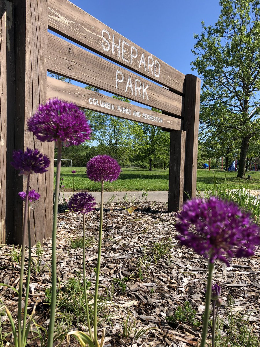 A beautiful day for a pretty Pic at Shepard Park <a href="/comoparksandrec/">ColumbiaMoParksRec</a>