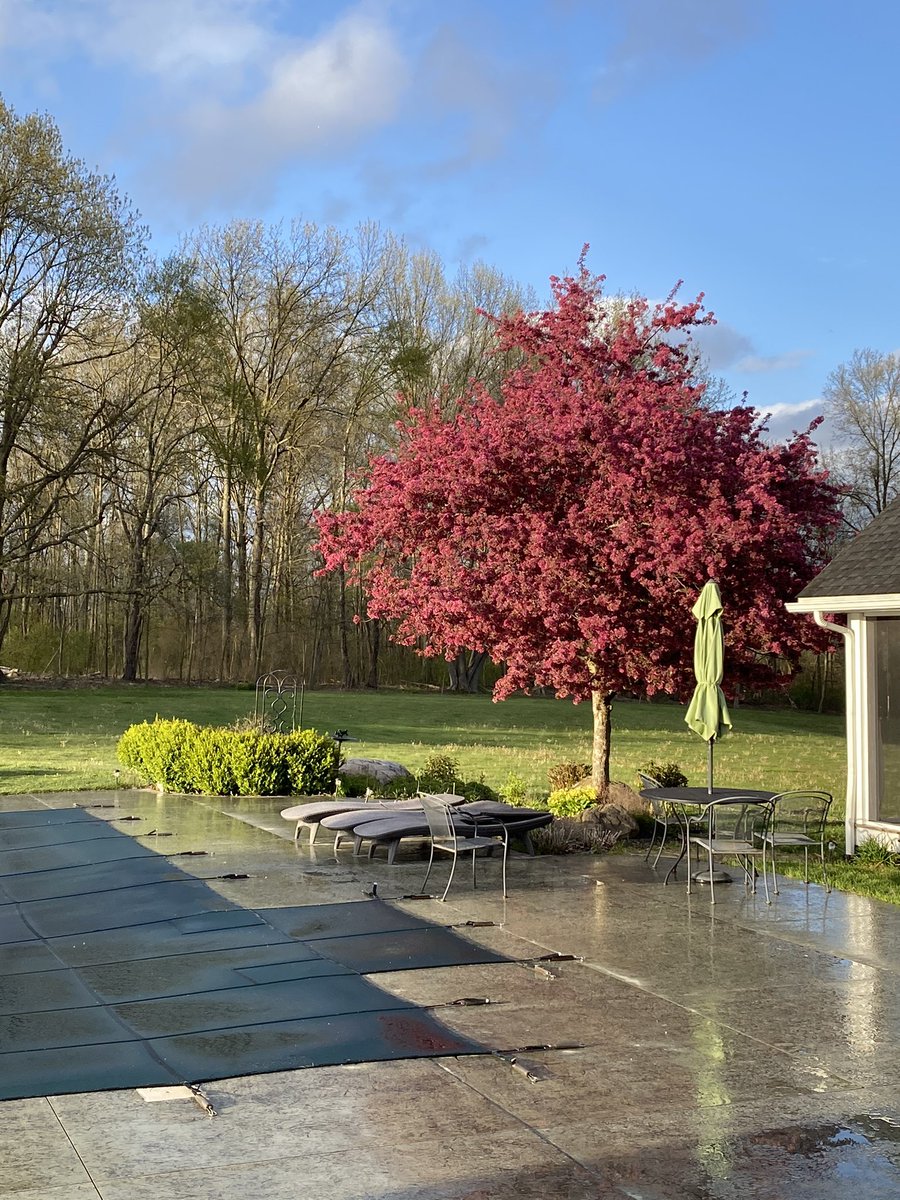 EbiePipeOrgan's tweet photo. And 20 minutes later... the sun is out. #springtimeinohio #midwestproblems https://t.co/BYbjEX340h