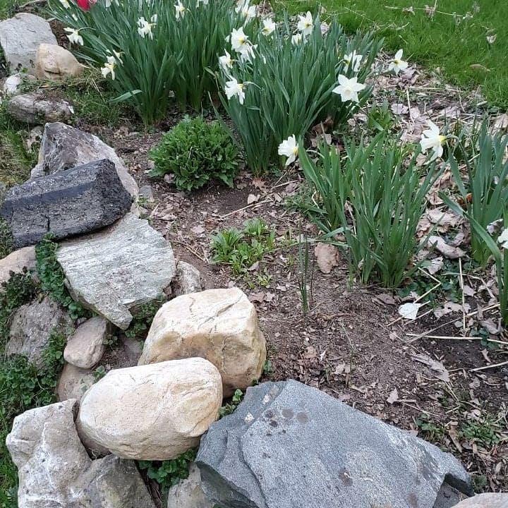 ArtCareerDeva's tweet image. Like our OldWorld hidden under the winter blankets of covid, now my gardens have fallen under a cold spell
#covid19 #coldspell #arianegoodwin #smARTist #gardening #Garden