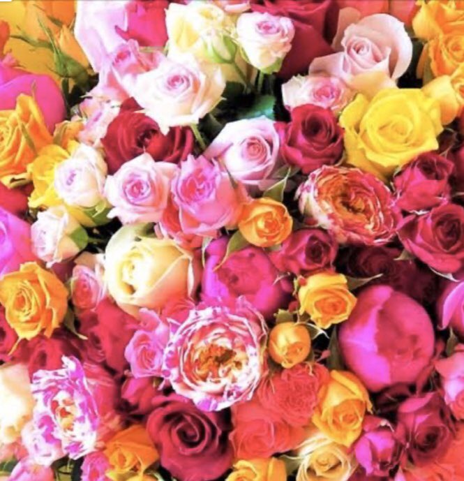 Rose_1850's tweet photo. フォローだけも必ず返します🌹
いいねリツイートしてくれてる方のフォローもお願いします🌹

🌹お願い🌹
#フォロー
#固定ツイートRT 

🌹お返し🌹
#フォロバ
#固定RT
#固定ファボ

🌹よろしくお願い致します🌹
#相互フォロー
#相互フォロー募集 
#相互フォロー100 
#フォロバ100 
#固定RT
#拡散します https://t.co/8wFwrlqZl4