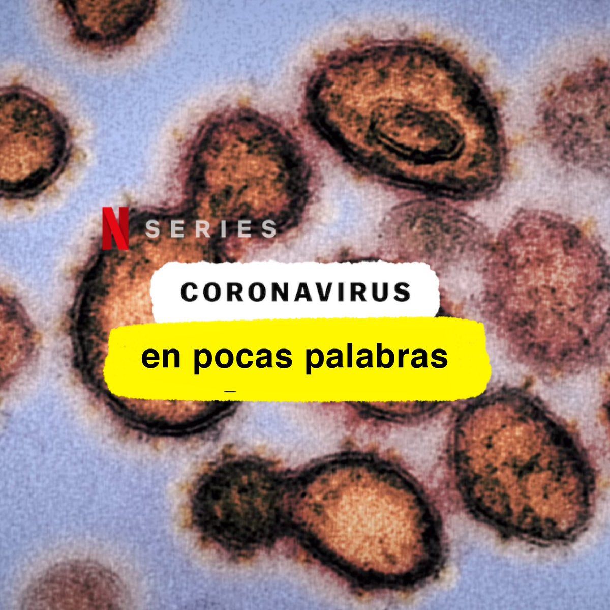 FonperRD's tweet photo. Te invitamos a ver este documental de @netflixlat que explica de manera sencilla todo lo que necesitas saber sobre el #COVID19 #coronavirus. Encuéntralo buscando “Coronavirus” en tu cuenta. ¡Disfrútalo y compártelo! #fonperrd #quedateencasa https://t.co/WOtwdu5ndb