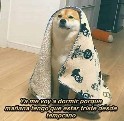 munblxe's tweet image. estoy harta de vivir en el mismo mundo que haikyuu 392