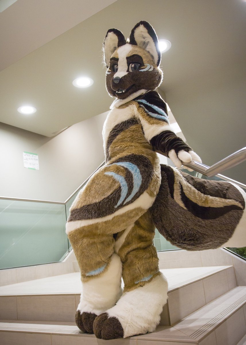 FoxtrotTrouble's tweet photo. Another photoshoot at @VancouFUR . Love that staircase! Thank you so much for shooting, @AvocadoSnek !
#fursuitfriday #transfurence #vf2020 #transfurencefursuit https://t.co/d0B1WFb10U