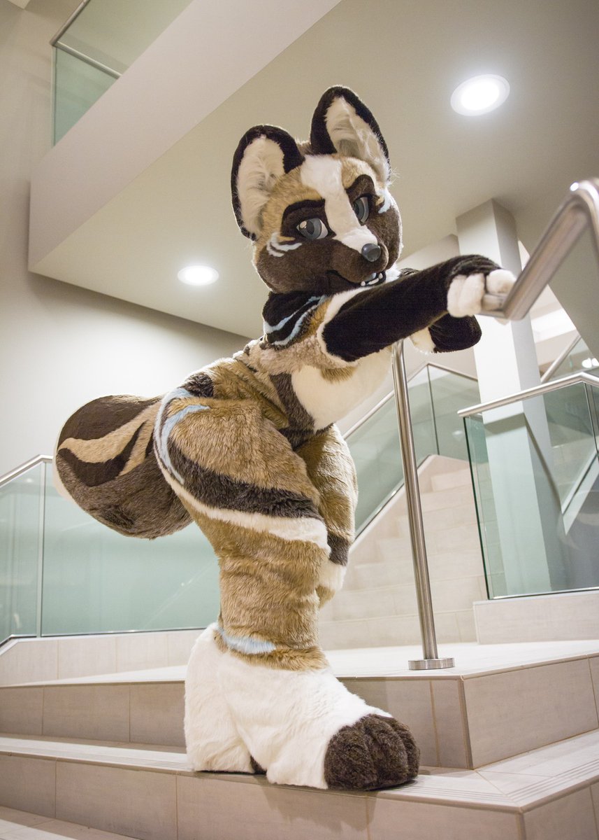 FoxtrotTrouble's tweet photo. Another photoshoot at @VancouFUR . Love that staircase! Thank you so much for shooting, @AvocadoSnek !
#fursuitfriday #transfurence #vf2020 #transfurencefursuit https://t.co/d0B1WFb10U
