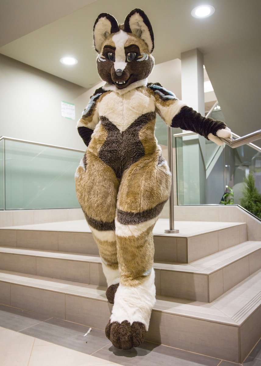FoxtrotTrouble's tweet photo. Another photoshoot at @VancouFUR . Love that staircase! Thank you so much for shooting, @AvocadoSnek !
#fursuitfriday #transfurence #vf2020 #transfurencefursuit https://t.co/d0B1WFb10U