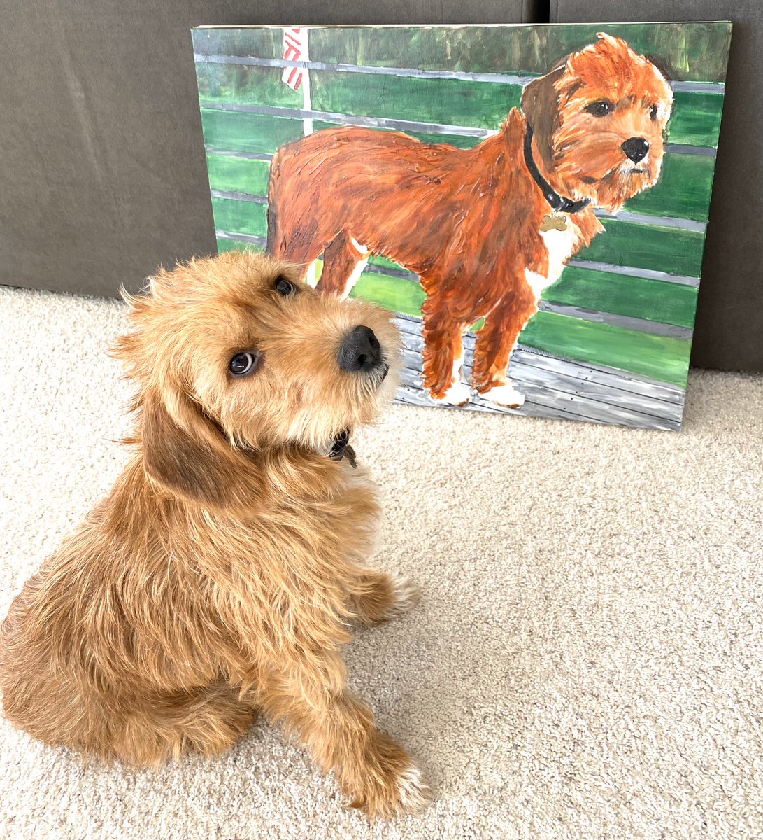 MaryNelsonTV's tweet photo. Y’all!  LOOK!  @theotherelk @TPC_Omaha surprised us with a painting of Sparky!  It’s even more beautiful in person!  What an incredibly thoughtful gift.  Don, THANK YOU!  (I added the inspo pic, too.) ☺️❤️🦮 https://t.co/UvrWEQaluD
