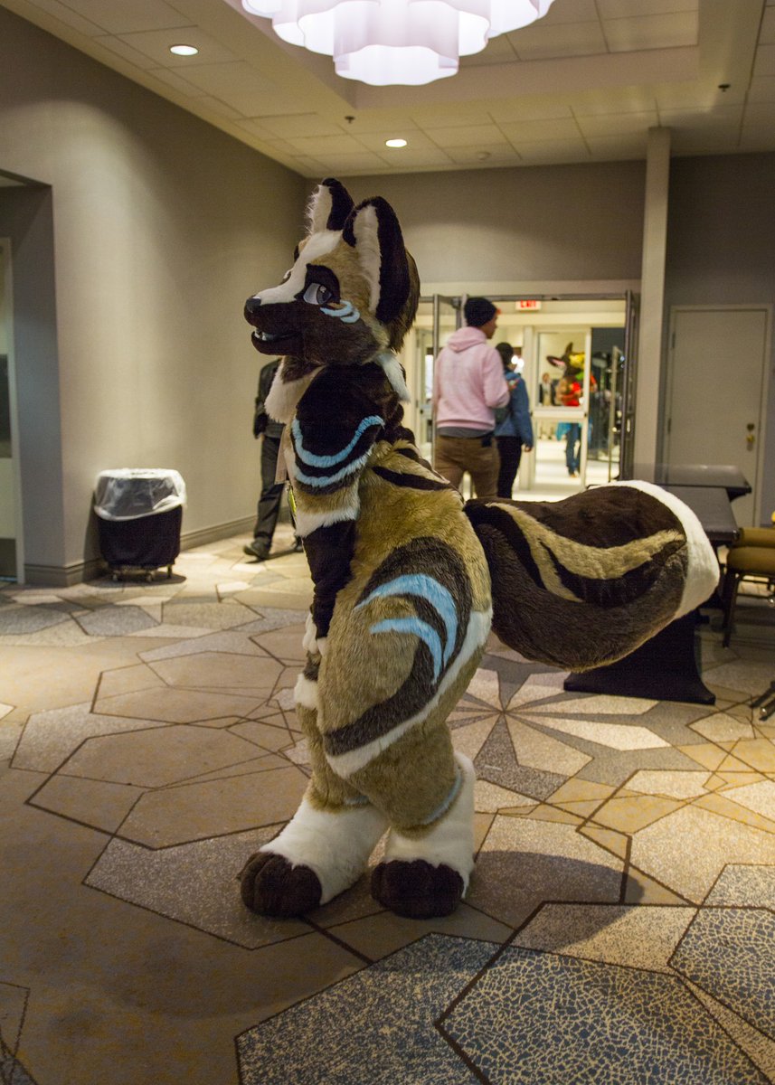 FoxtrotTrouble's tweet photo. I found the asian photobooth at @VancouFUR and glamed it up. Photos by @AvocadoSnek
#fursuitfriday #transfurence #vf2020 #transfurencefursuit https://t.co/Rv01hjmhj5