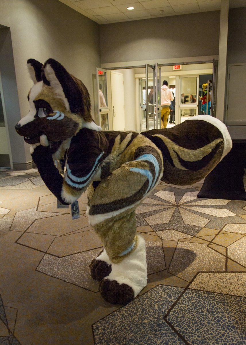 FoxtrotTrouble's tweet photo. I found the asian photobooth at @VancouFUR and glamed it up. Photos by @AvocadoSnek
#fursuitfriday #transfurence #vf2020 #transfurencefursuit https://t.co/Rv01hjmhj5