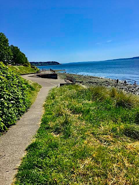 KreggJorgenson's tweet photo. Got in a two-hour beach clean up in West Seattle today and pulled in 10 to 12 pounds of plastics litter and debris from the tidal area. Please don't litter and during the social distancing time how about doing a volunteer litter clean up. #RandomActsOfCleanUp https://t.co/KRKjg1GewP