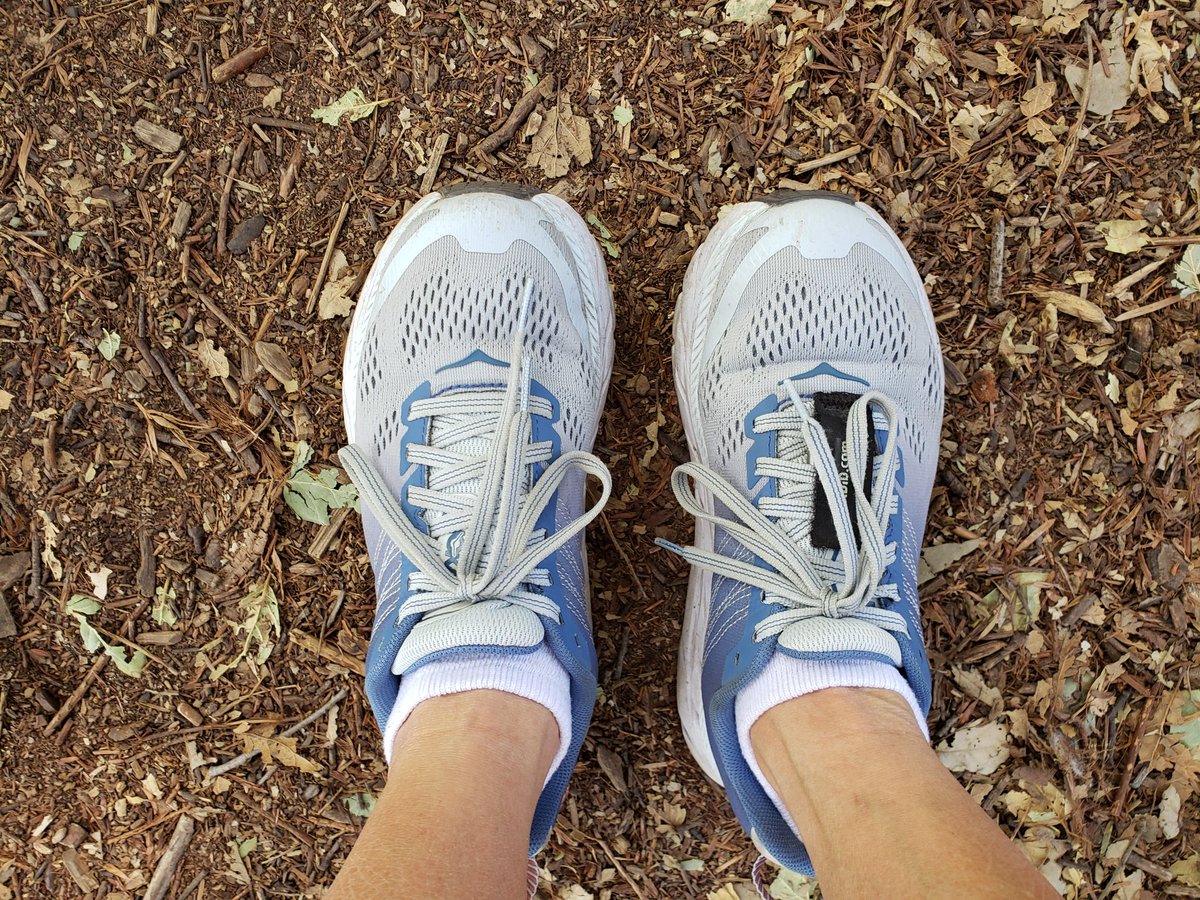 CWpiequeen's tweet photo. I run for Ahmaud Arbery, a young black man, killed while running through a suburban neighborhood.
I run for Maud because he can't be here to run for himself.
I run for Maud because today was supposed to be his 26th bday. Such a senseless &amp; tragic death! #stopthehate #IrunwithMaud https://t.co/ndZbf0tLnI
