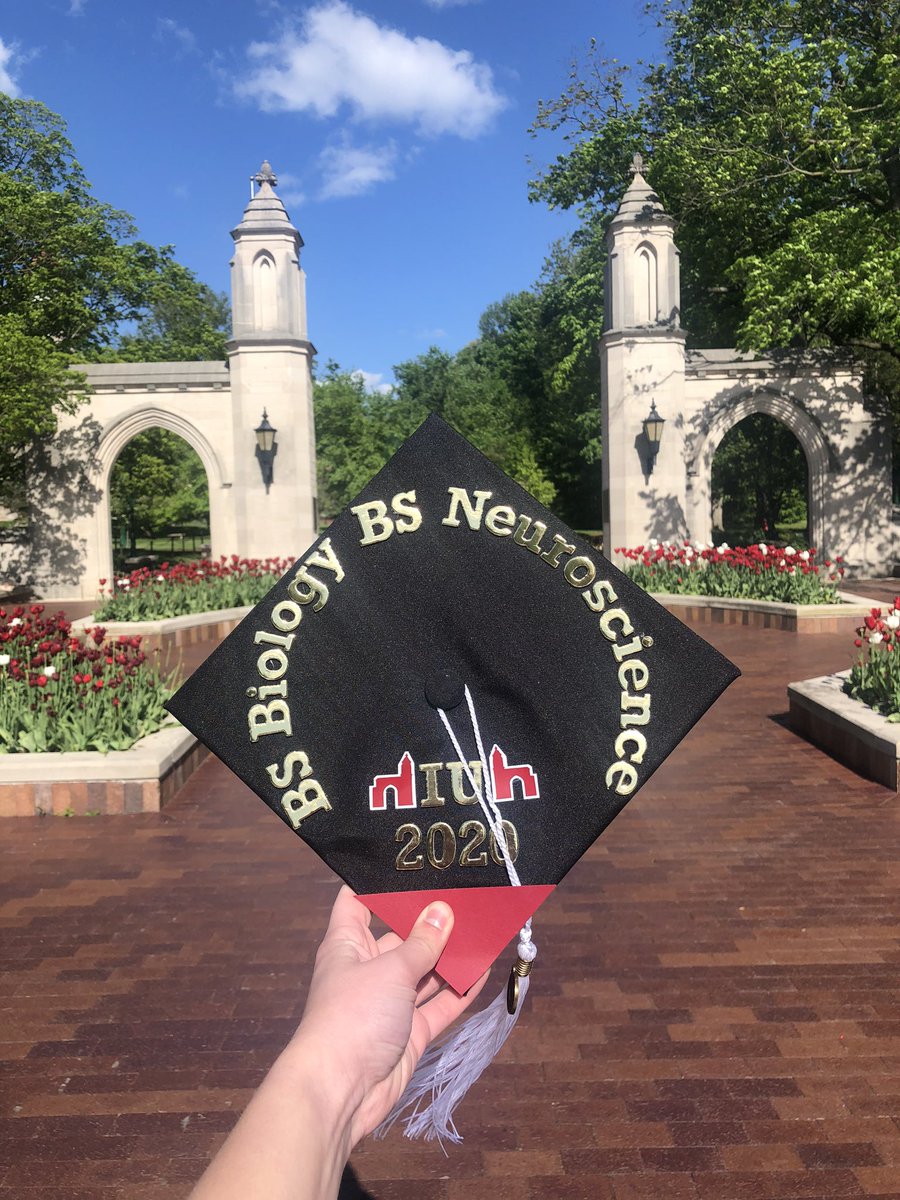 an_ujd's tweet photo. #IUBGradCap20 https://t.co/CtIbHX7klL