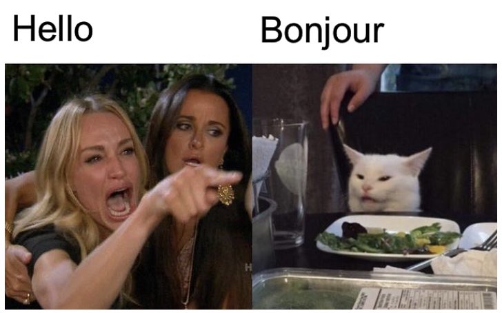 BiblioCT's tweet photo. New French memes https://t.co/640fJaYlTe