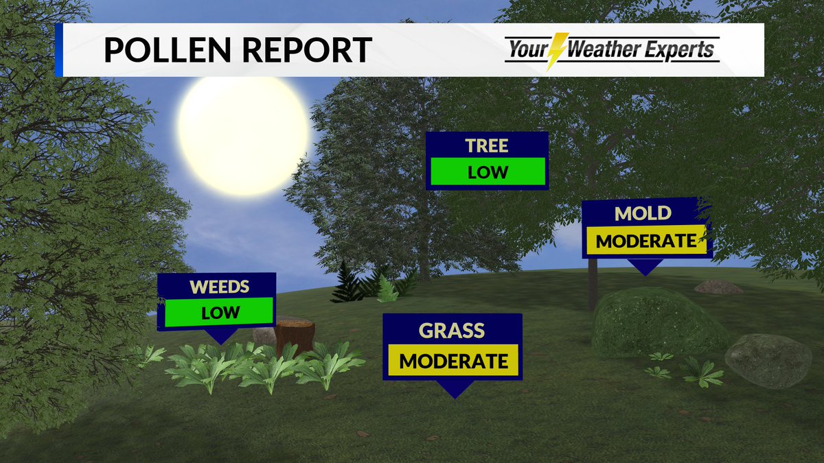 BethFinelloWx's tweet photo. POLLEN REPORT: Here is your Friday pollen report. #kolr10wx #pollenreport https://t.co/4IqqCy1dM0
