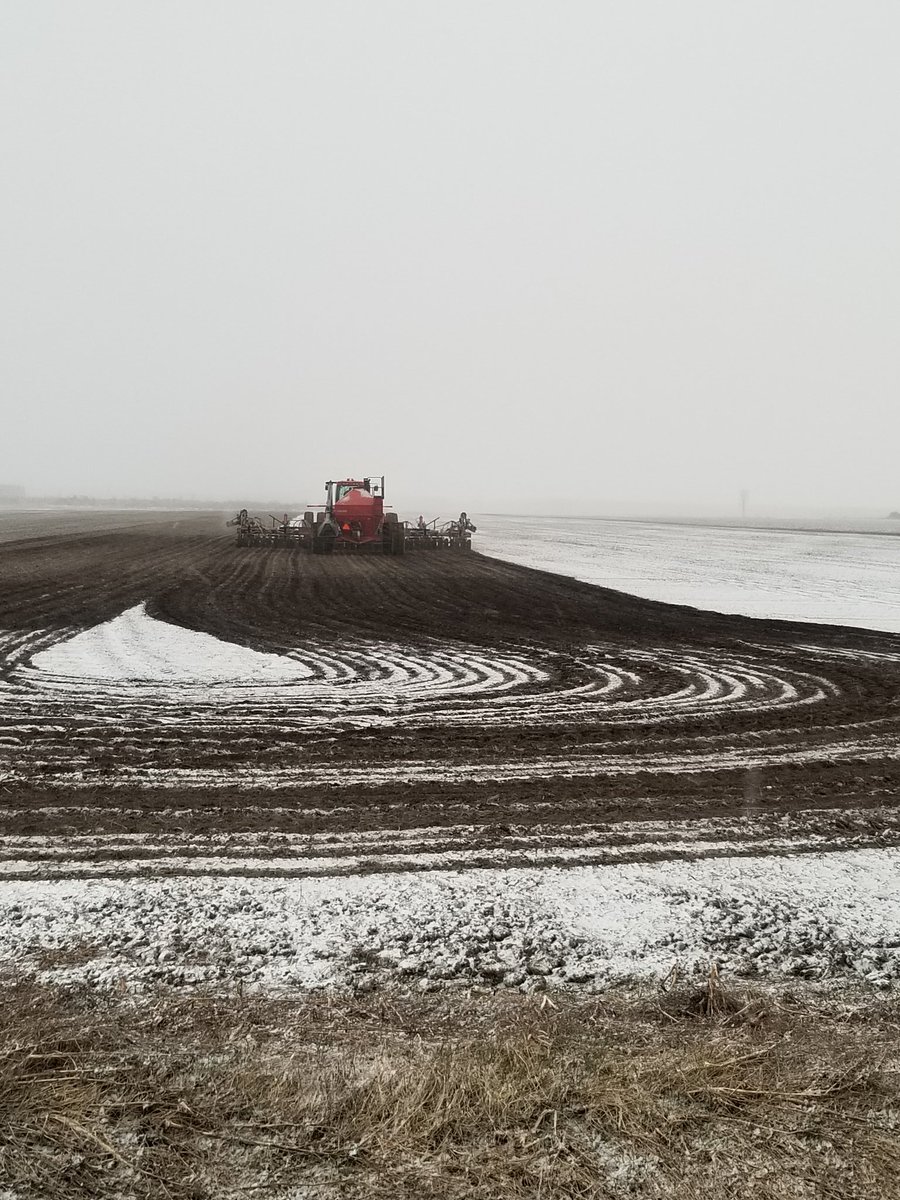 cashcrop10's tweet photo. From the 1 picture 24hrs ago planting in sunshine (but cold) to cultivating and planting into these conditions. @chumer68 @leveille57 @kochelevators https://t.co/gJxvqTFYfe