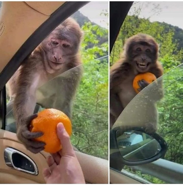 Bende tatlı görünce böyle mutlu oluyorum 😂🎈