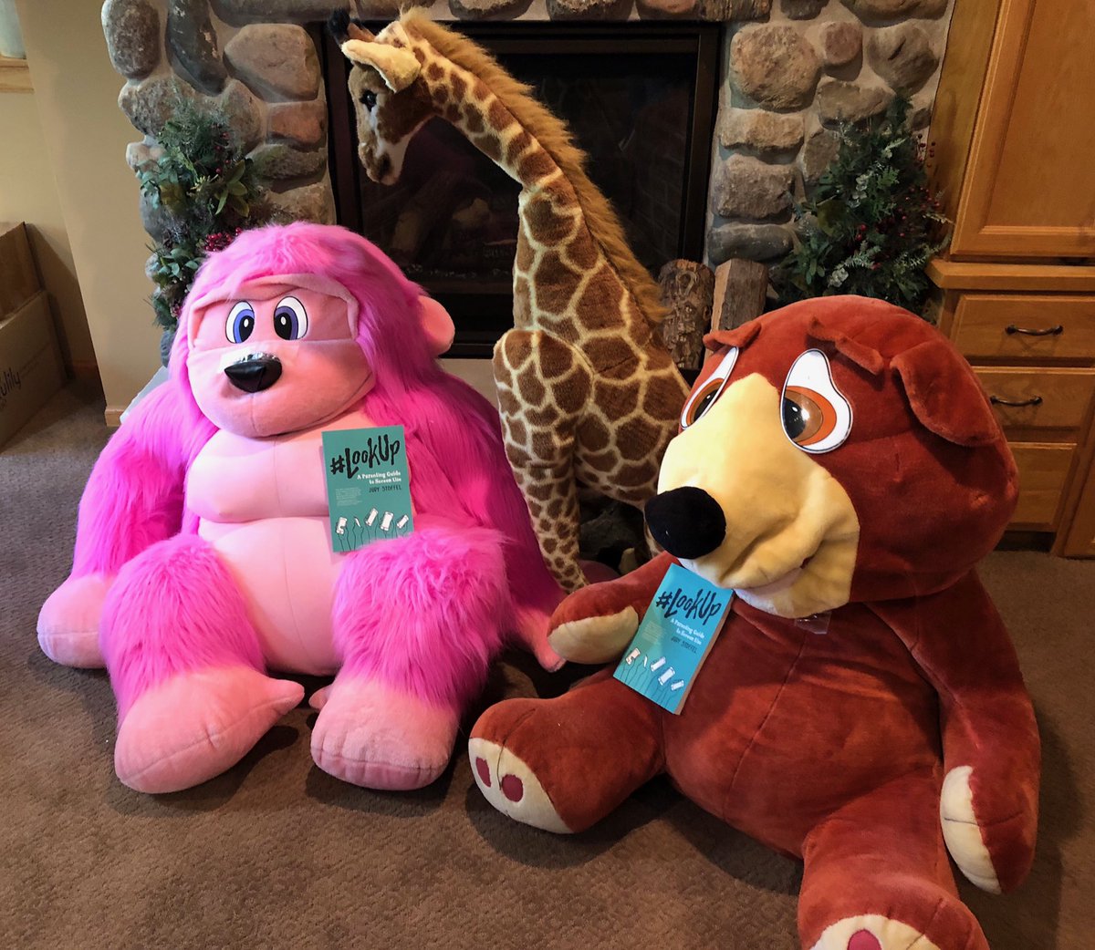 greg_stoffel's tweet photo. Thank you @ibpa we may not have pets but we got the gang here to celebrate the gold win for #lookup Author: Judy Stoffel #IBPABens #ibpa https://t.co/fYToKwgJNR
