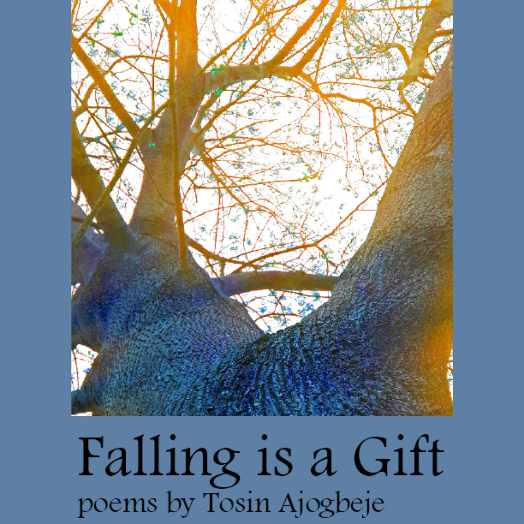 Grey_Borders's tweet photo. "Falling is a Gift" poems by Tosin Ajogbeje AVAILABLE TOMORROW Sat May 9th at https://t.co/IiQCGW6vLQ ; preorder the print edition for $15, Kindle/Ebook for $2.99 also available for FREE viewing https://t.co/WtqWwV0NW9