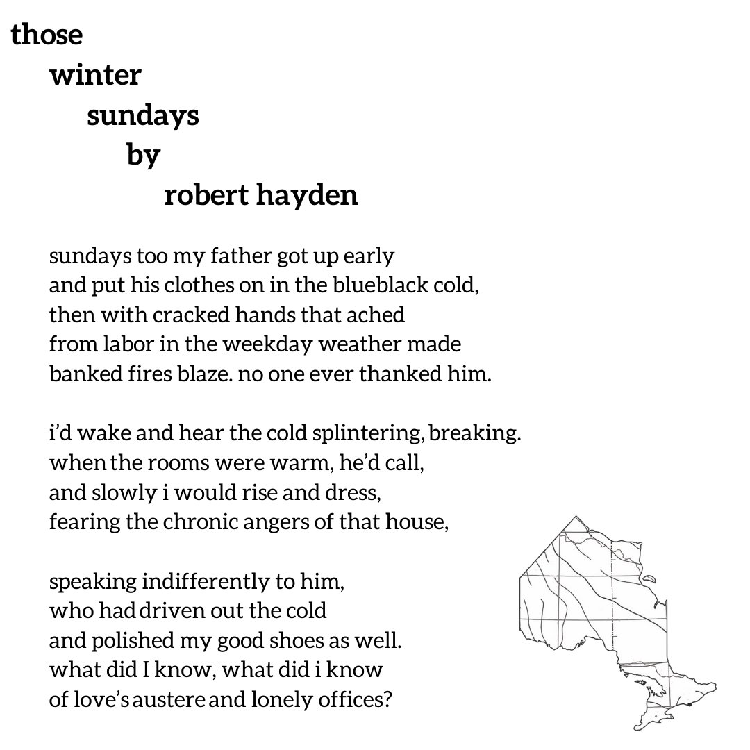 The Northern Appeal tweet media