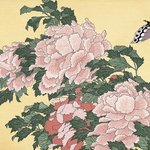 main image of this resource