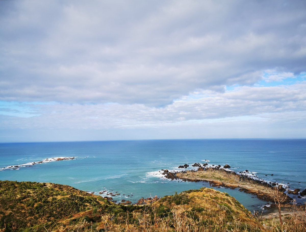 WildBayNZ's tweet photo. A good 16km walk today taking in the sites along the coastal Walkway to @BreakerBay then returning via the Eastern Walkway & Moa Point & Wellington Airport. We are spoilt for some amazing views.
@WgtnCC #EasternWalkway #BreakerBay #MoaPoint #CoastalWalkway https://t.co/Akl6BgOezr