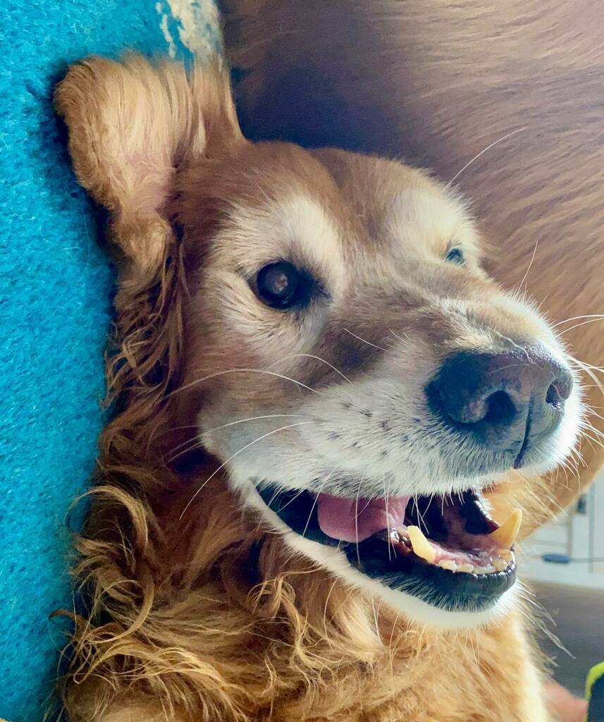 TheGoldenRatio4's tweet photo. Me with 5 days to go before the semester ends... https://t.co/Egp5wh00bI