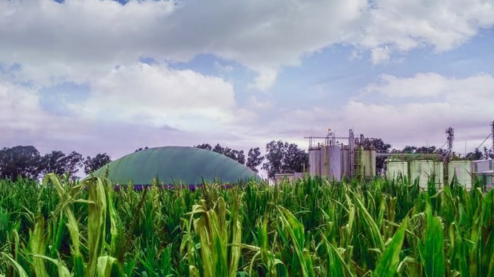 Hiametbiotech's tweet photo. Estamos optimizando  la generación  de energía a partir de efluentes 👇 ...tremendo laburo de nuestro equipo @Mati_Liloia @cep_ok @BrauKreczmann https://t.co/L2QcCWvuRI