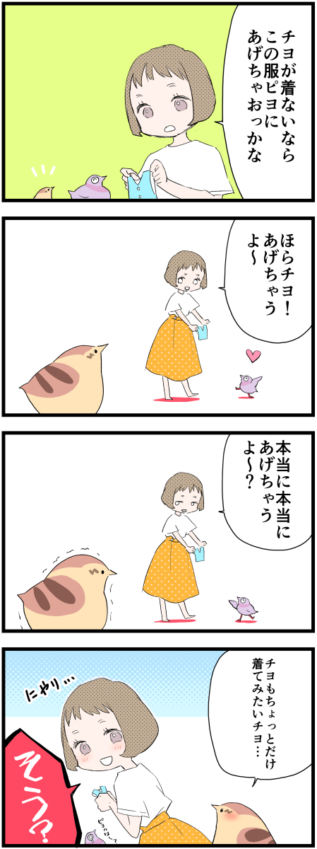 チヨの扱い方