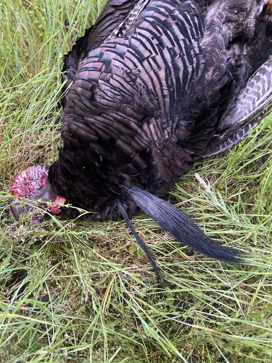 josht61's tweet photo. #CantStopTheFlop in NC!
@BoogerBottom https://t.co/Wtm8pvRYyB