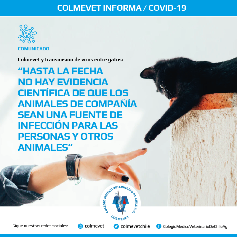 colmevetchile's tweet photo. Colmevet reitera que, según @opsoms, @OIEAnimalHealth , y @VetsWSAVA , y otras instituciones de salud humana y animal, “hasta la fecha no hay evidencia científica de que los animales de compañía sean fuente de infección para las personas y otros animales".
https://t.co/BIn3W7c3Ny https://t.co/2HEMv31WqR