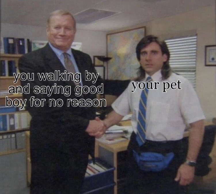 RespectfulMemes's tweet photo. https://t.co/TntQcArMcu